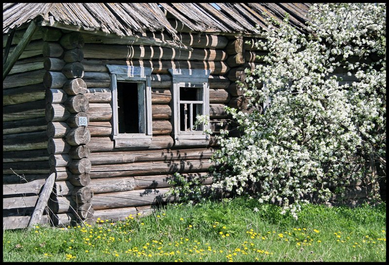 Убогий домик в деревне