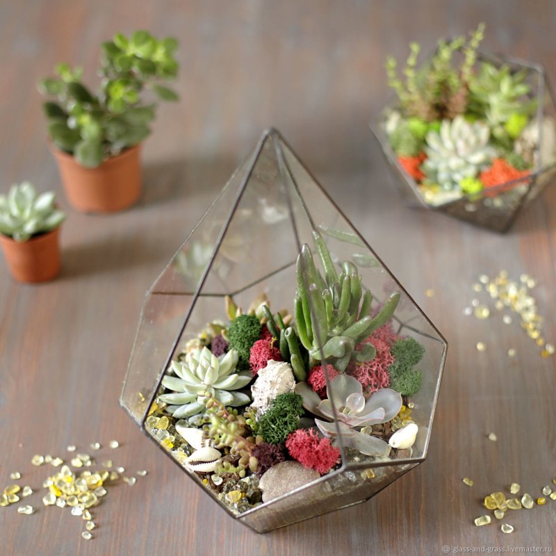 Glass grass флорариум
