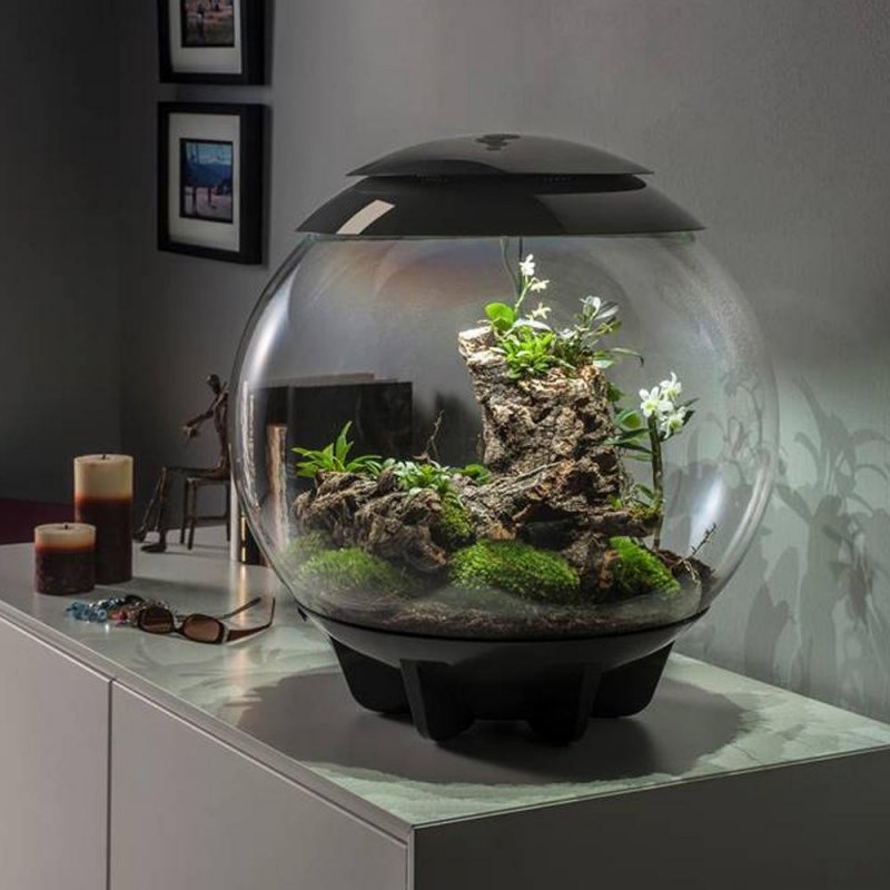 Флорариум BIORB Air 60 White