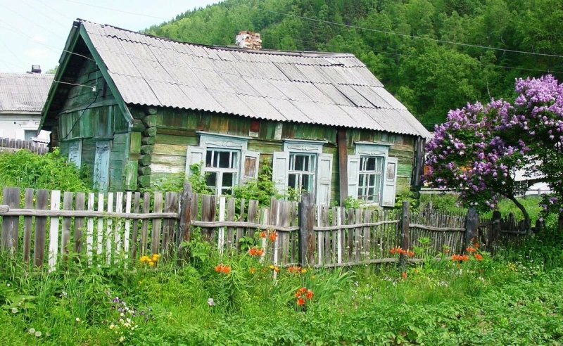Старенький дачный участок в деревне
