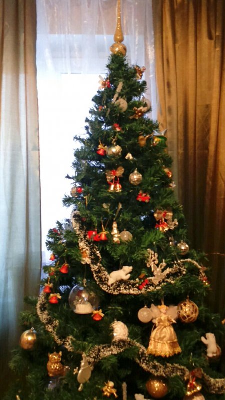 Наряженная елка в квартире