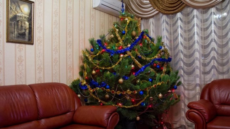 Украсить сосну на новый год