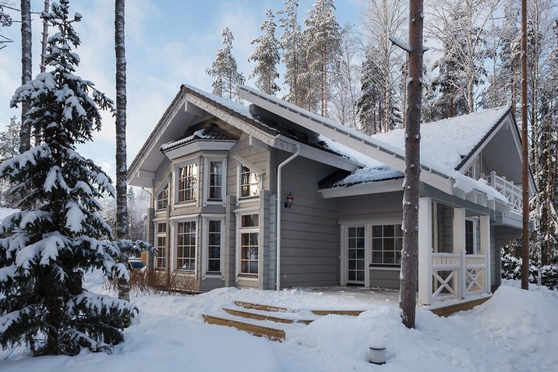 Финский дом Honka