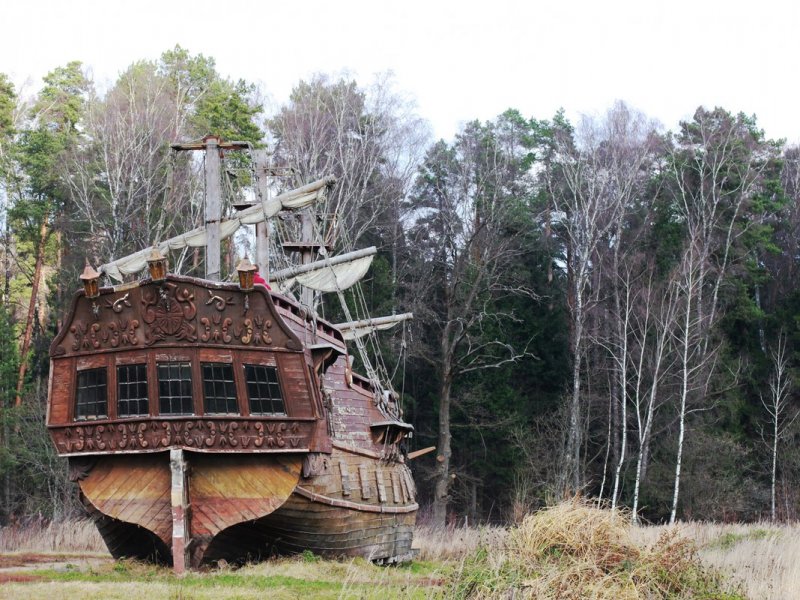 Корабль в лесу