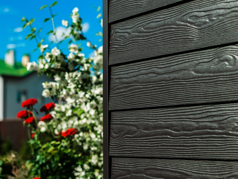 Фиброцементный сайдинг Cedral Wood