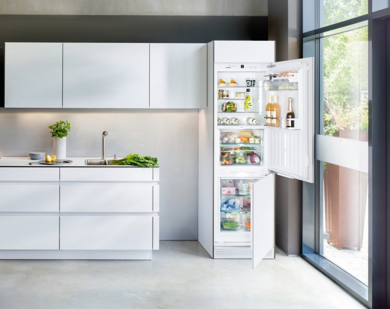Встраиваемый холодильник Liebherr BIOFRESH ICBN 3376