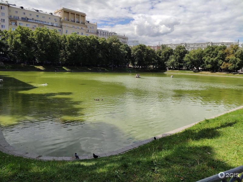 Патриаршие пруды прогулка маршрут