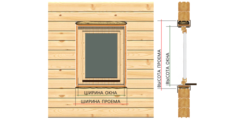 Окосячка канадская