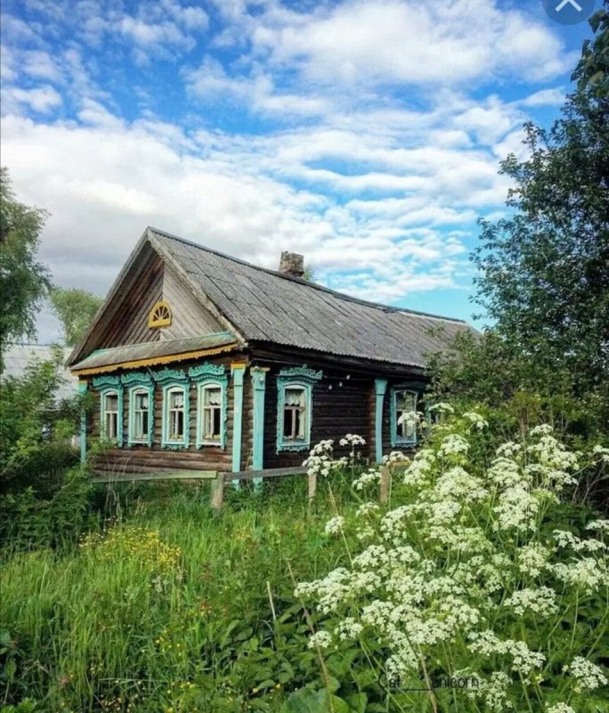 Домик на дереве