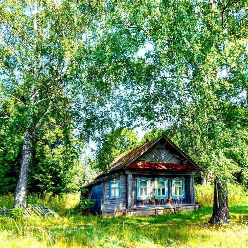 Доминик в деревне