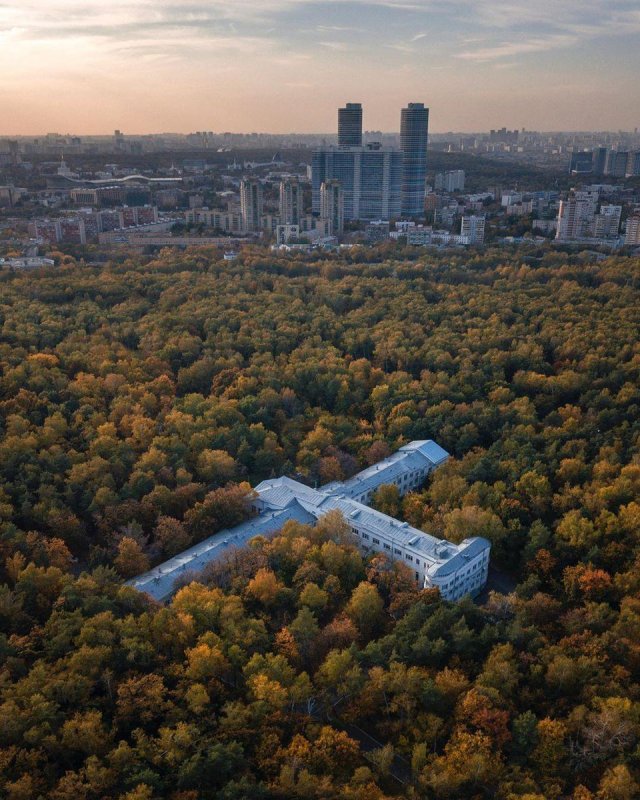 НИИ туберкулеза Лосиный остров