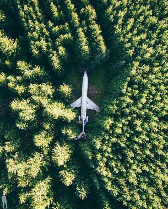 Боинг 727 в лесу