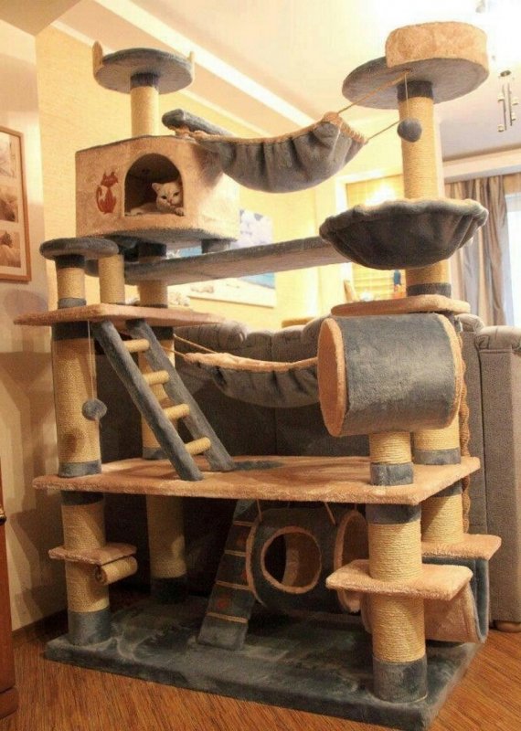 Большие домики для кошек