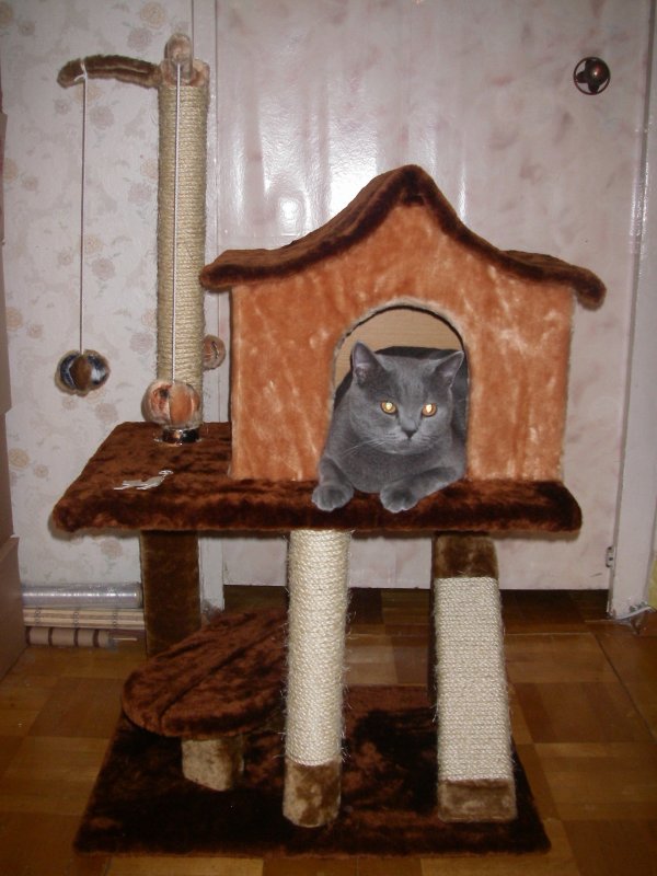 Домик для кошки двухэтажный