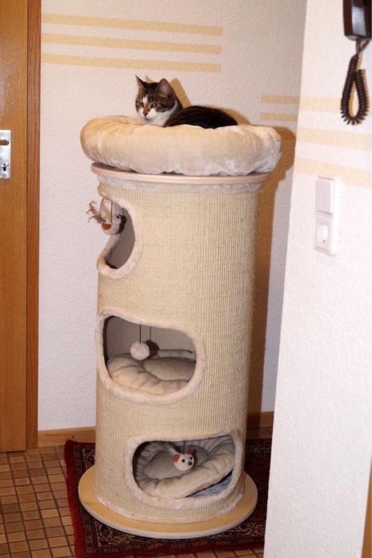 Домик для кошек