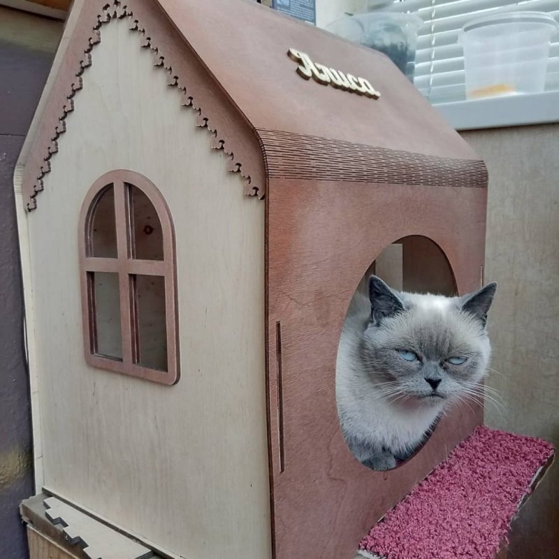 Самодельная когтеточка для кошек