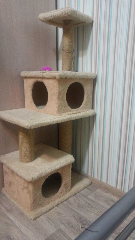 Дом для кошки из картона
