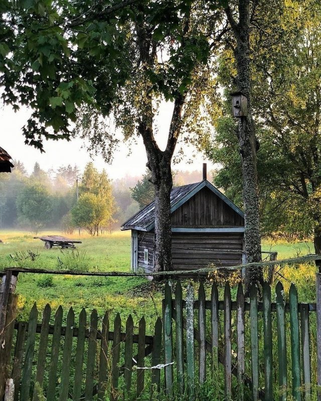 Деревенская природа
