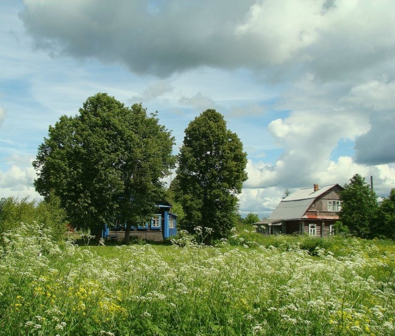 Природа домик в деревне