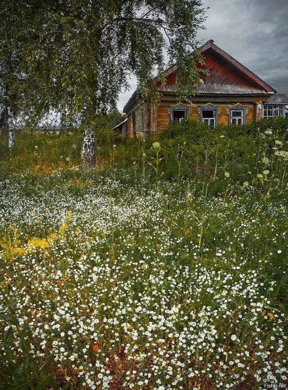 Деревня деревенька