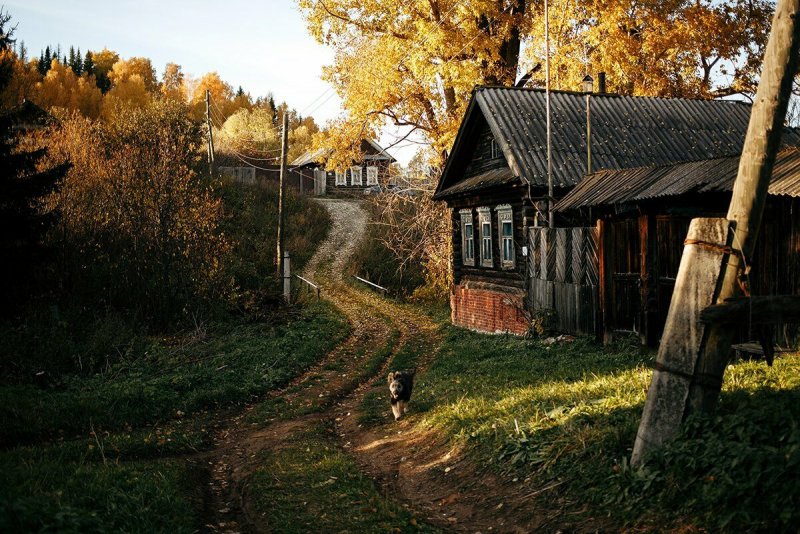 Деревенская улица осенью