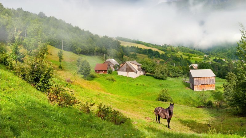 Карпаты экопоселение