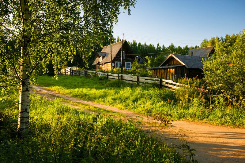 Летний деревенский пейзаж