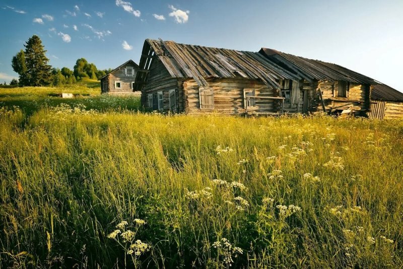 Деревенская природа