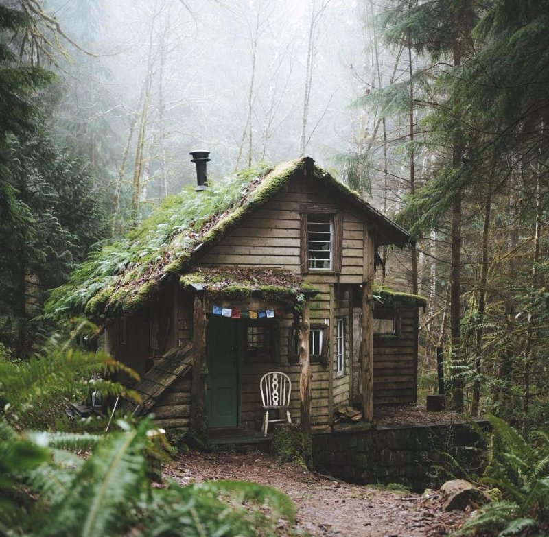 Forest House Хижина в лесу
