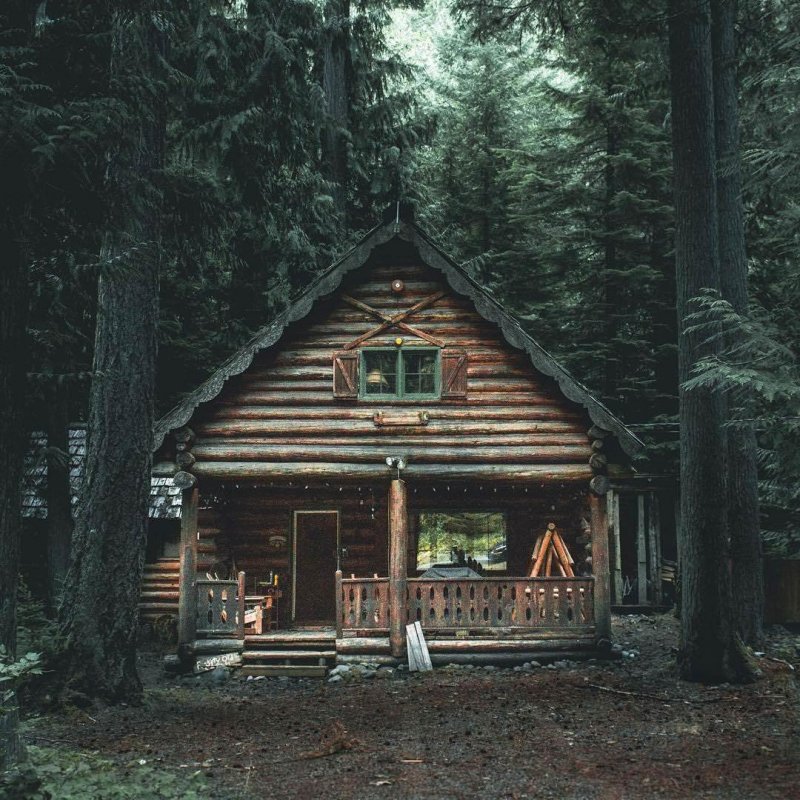 Forest House Хижина в лесу