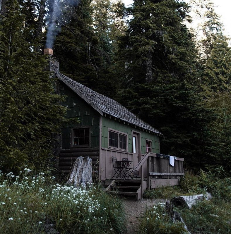 Forest House Хижина в лесу