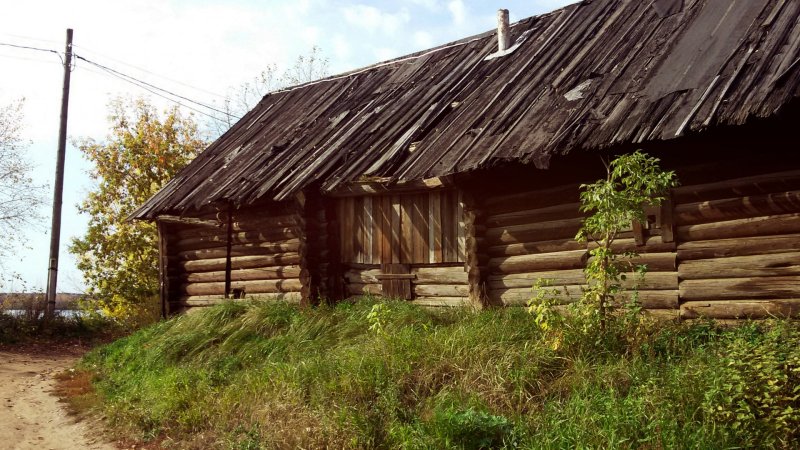 Деревня дерева Новгородской области