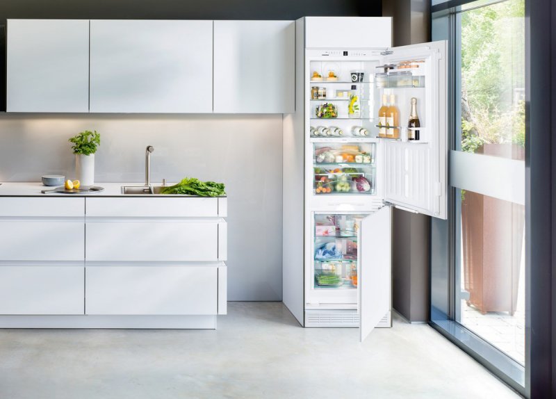 ICBN 3376 Premium BIOFRESH NOFROST