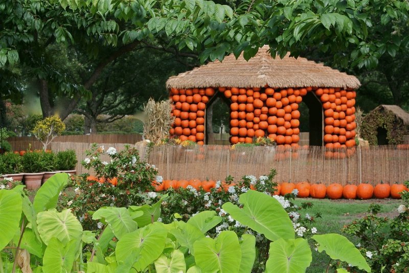 Солнце, домик, тыква