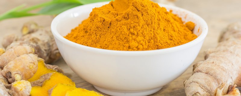 Белого кота лечили куркумой