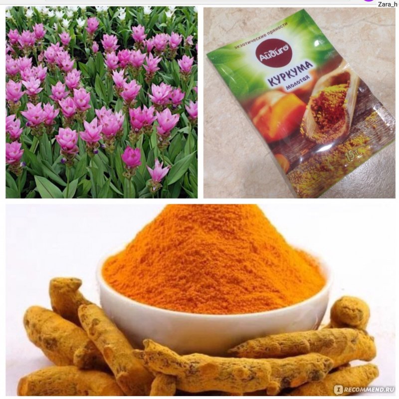 Цветущая куркума