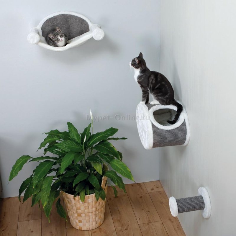 Кошачий домик