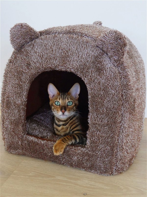 Домик с лежанкой для кошек