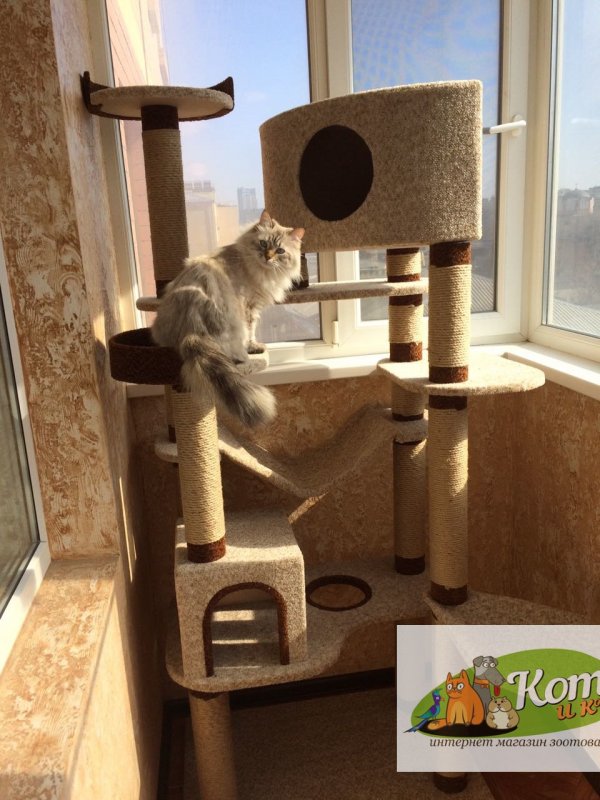 Креативные домики для кошек