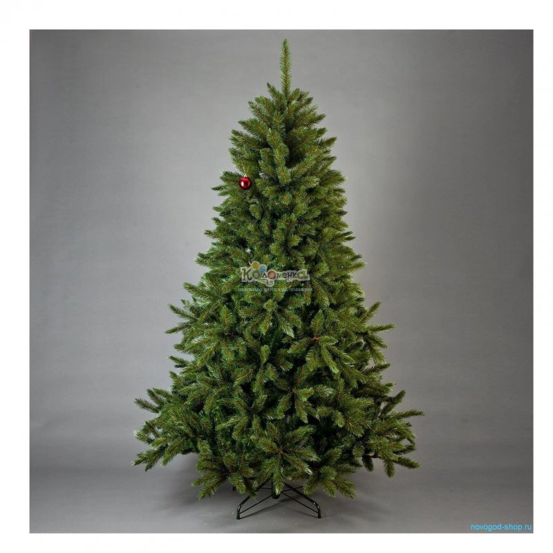 Triumph Tree ель Королевская 1.85