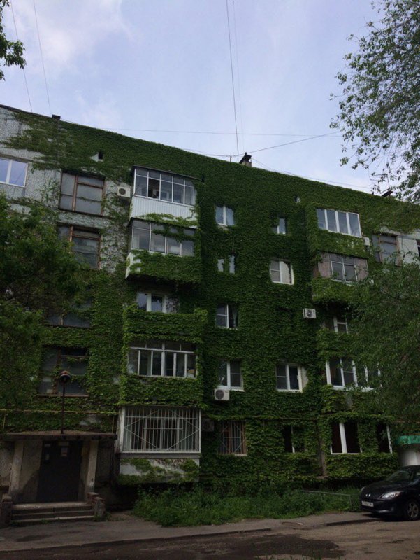 Пятиэтажка хрущевка