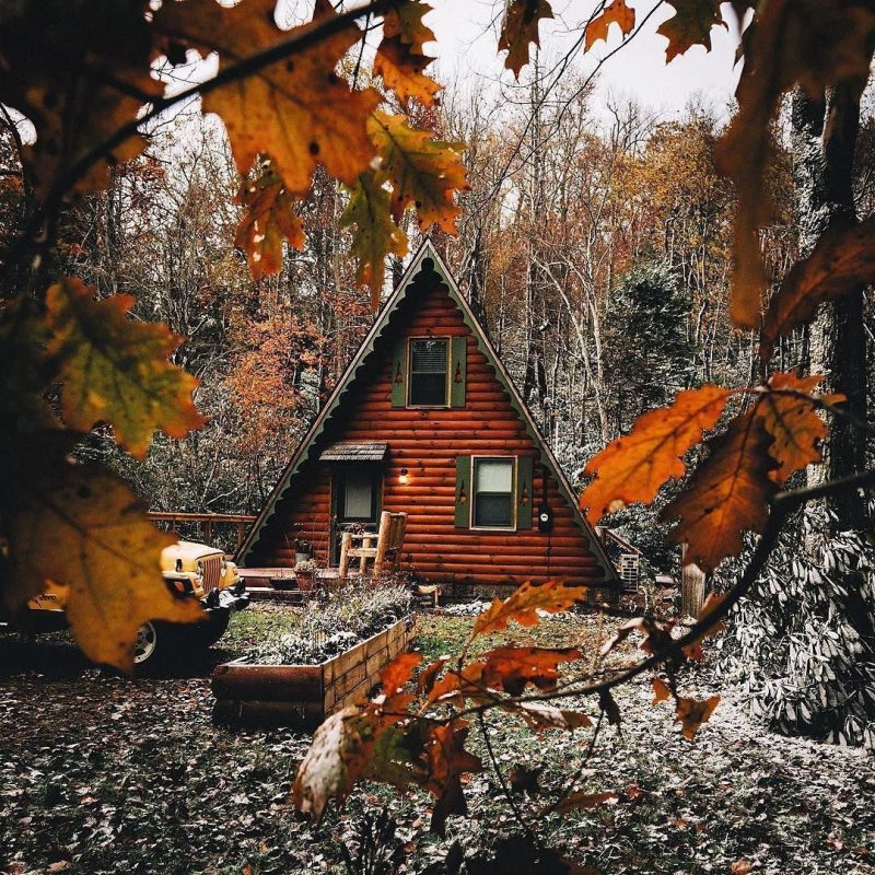 Дом в осеннем лесу
