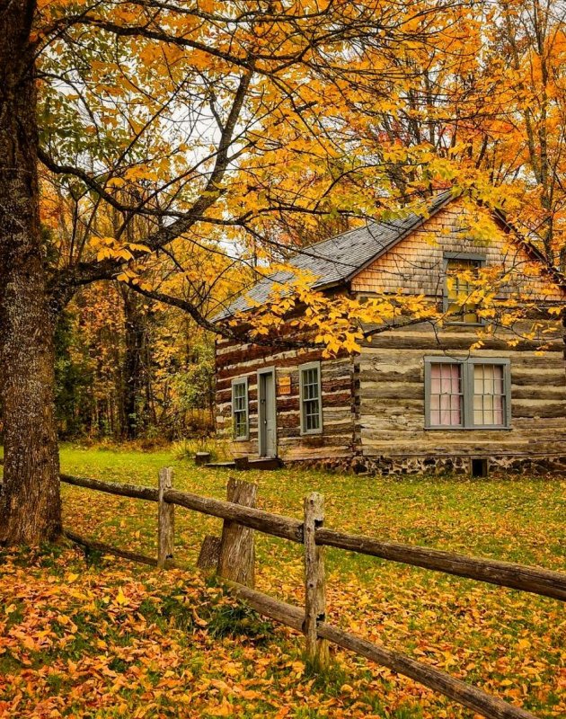 Осень дом