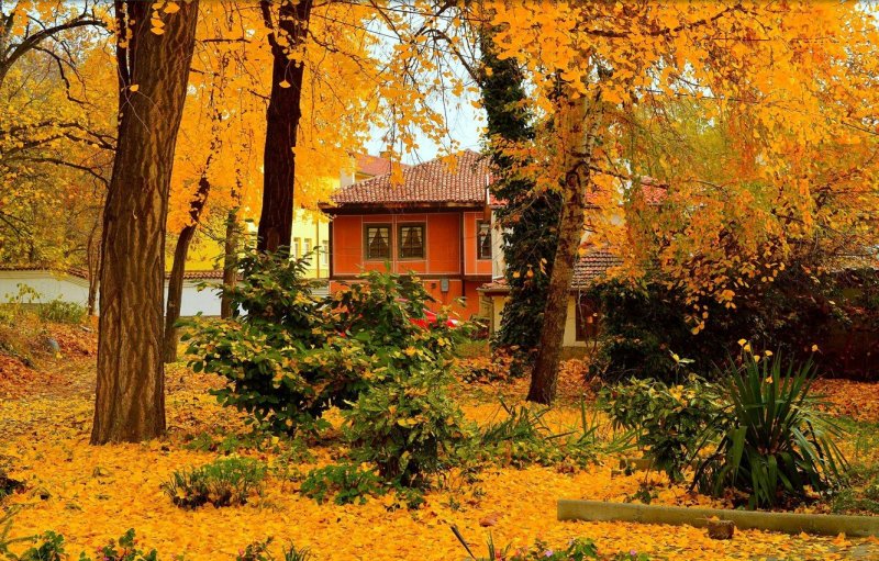 Осень дом сад