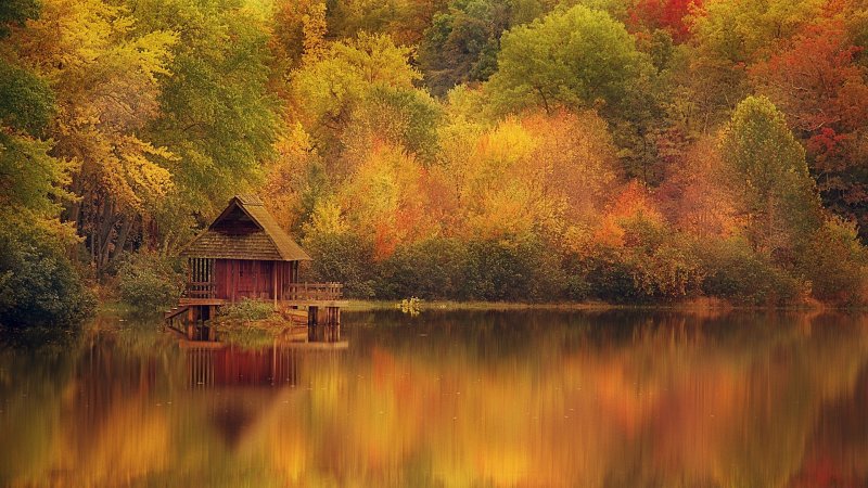 Река осень дом