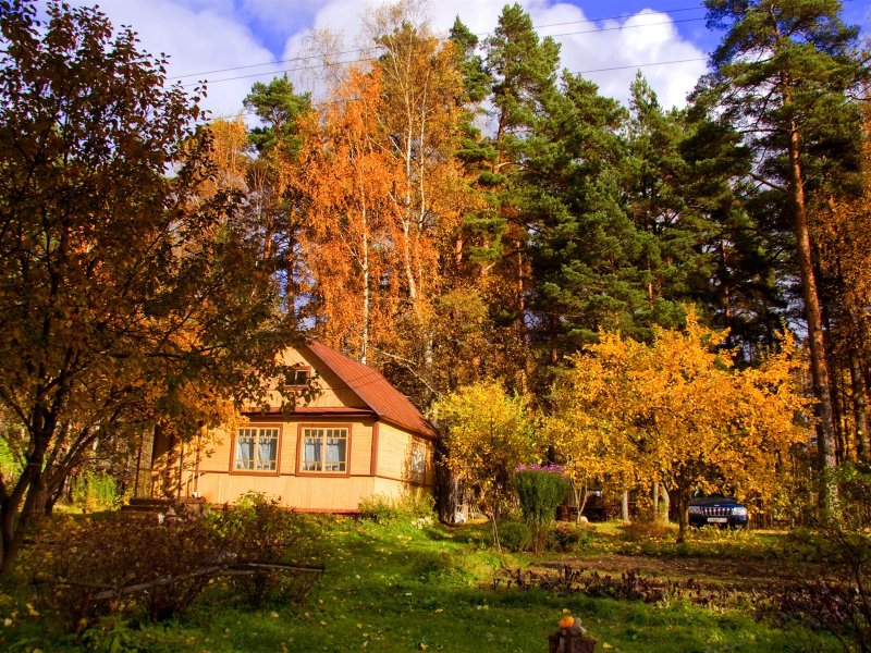 Дача. Осень