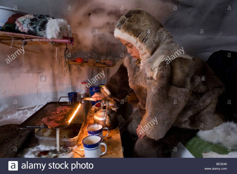 Чукчи в ледяных домиках