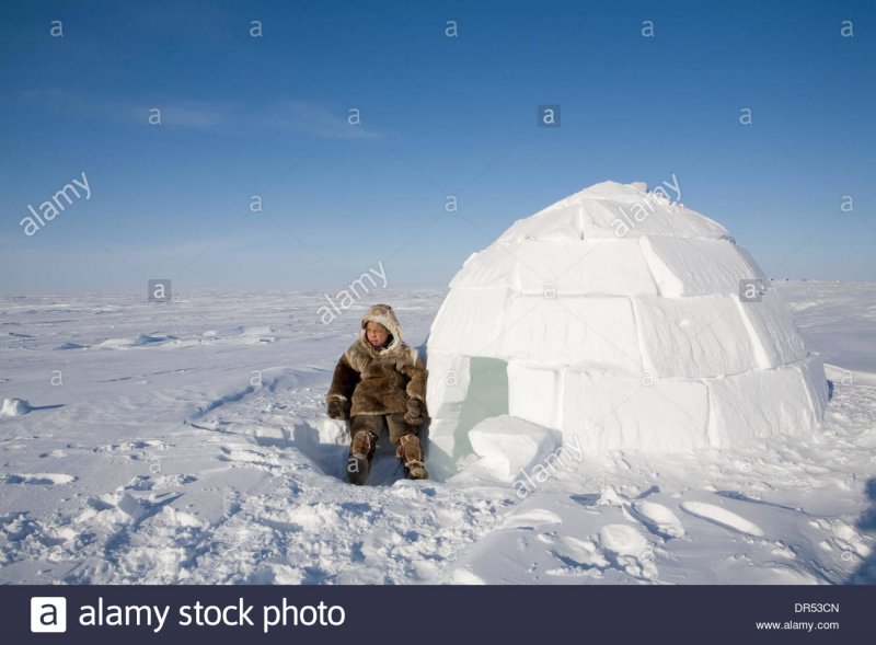 Быт эскимосов в иглу