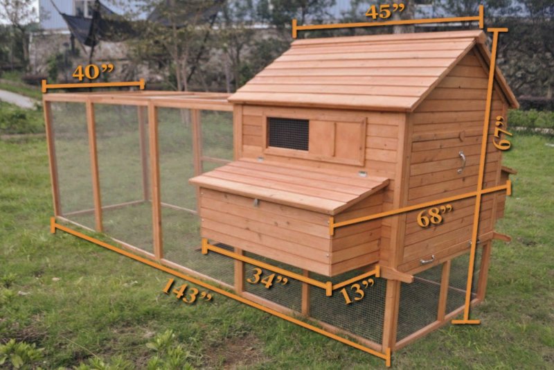 Дачный курятник на 10 кур