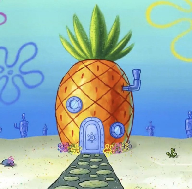 Sponge for building
